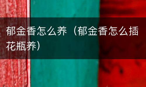 郁金香怎么养（郁金香怎么插花瓶养）