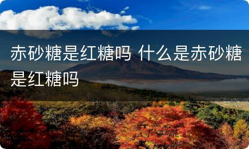 赤砂糖是红糖吗 什么是赤砂糖是红糖吗