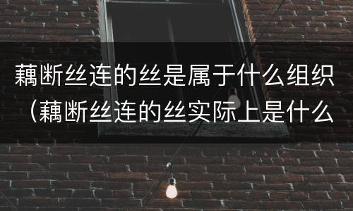 藕断丝连的丝是属于什么组织（藕断丝连的丝实际上是什么）