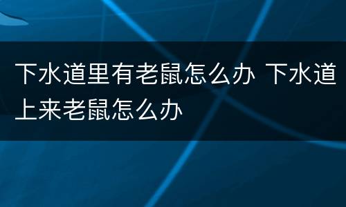 下水道里有老鼠怎么办 下水道上来老鼠怎么办