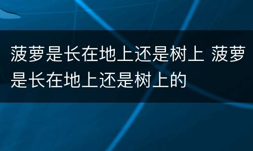 菠萝是长在地上还是树上 菠萝是长在地上还是树上的