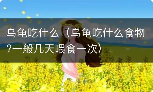 乌龟吃什么（乌龟吃什么食物?一般几天喂食一次）