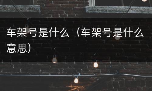 车架号是什么（车架号是什么意思）