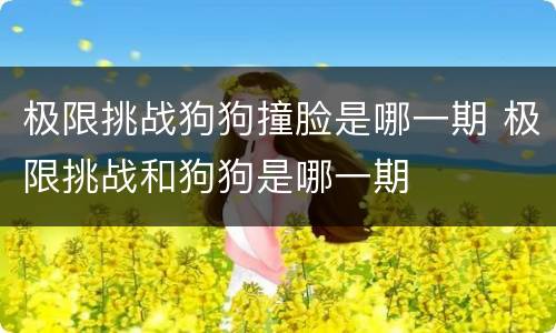 极限挑战狗狗撞脸是哪一期 极限挑战和狗狗是哪一期