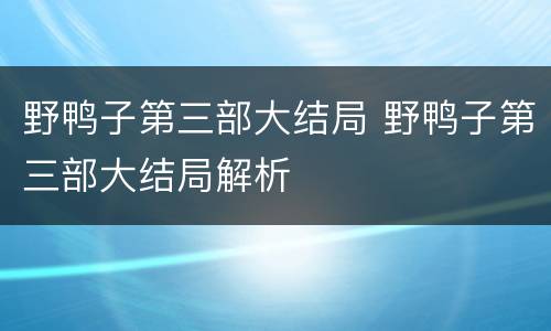 野鸭子第三部大结局 野鸭子第三部大结局解析