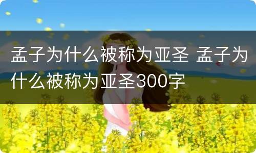 孟子为什么被称为亚圣 孟子为什么被称为亚圣300字
