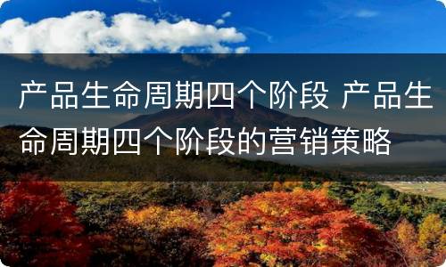 产品生命周期四个阶段 产品生命周期四个阶段的营销策略