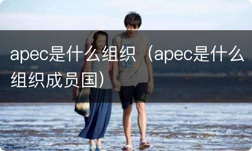 apec是什么组织（apec是什么组织成员国）
