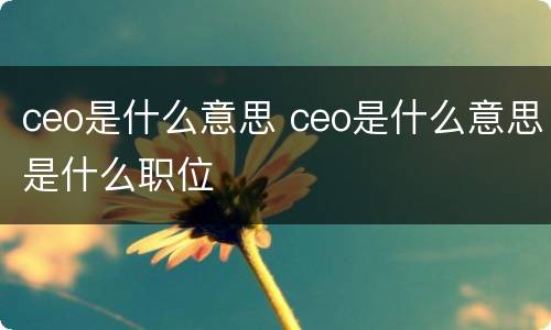ceo是什么意思 ceo是什么意思是什么职位