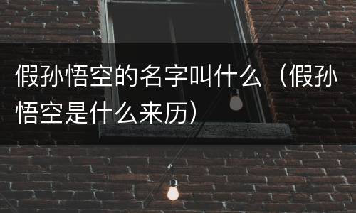 假孙悟空的名字叫什么（假孙悟空是什么来历）