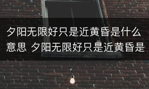 夕阳无限好只是近黄昏是什么意思 夕阳无限好只是近黄昏是什么意思动物之类