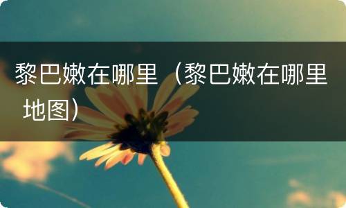 黎巴嫩在哪里（黎巴嫩在哪里 地图）