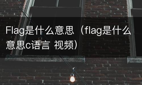 Flag是什么意思（flag是什么意思c语言 视频）