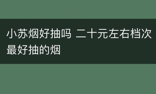 小苏烟好抽吗 二十元左右档次最好抽的烟