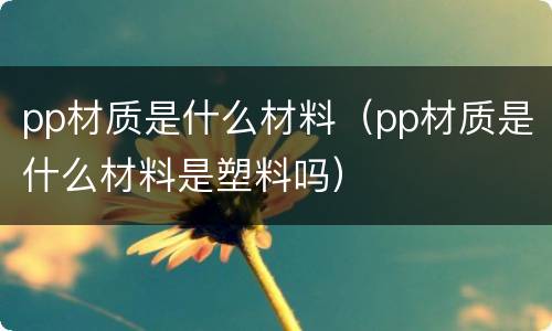 pp材质是什么材料（pp材质是什么材料是塑料吗）