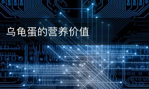 乌龟蛋的营养价值