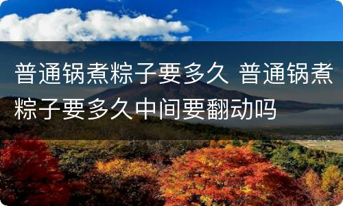 普通锅煮粽子要多久 普通锅煮粽子要多久中间要翻动吗