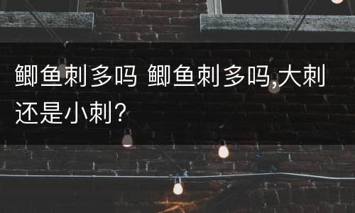 鲫鱼刺多吗 鲫鱼刺多吗,大刺还是小刺?