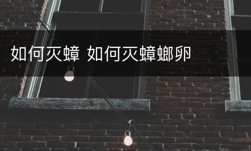 如何灭蟑 如何灭蟑螂卵