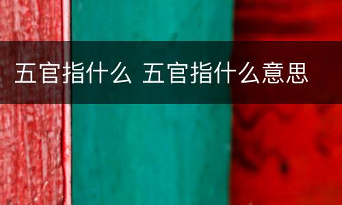 五官指什么 五官指什么意思