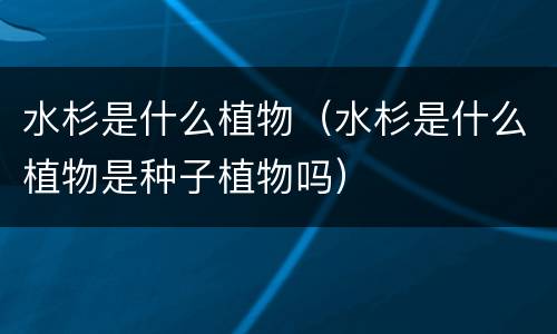 水杉是什么植物（水杉是什么植物是种子植物吗）