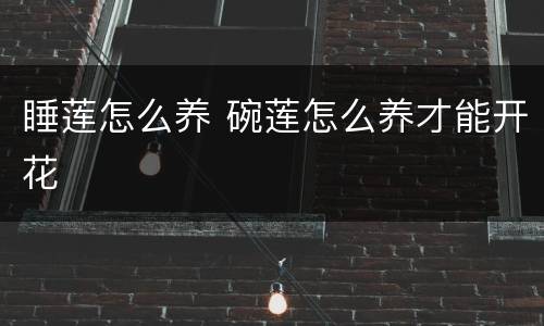 睡莲怎么养 碗莲怎么养才能开花