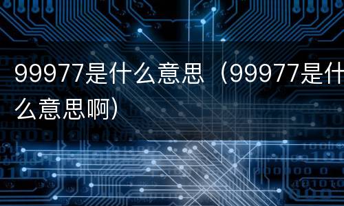 99977是什么意思（99977是什么意思啊）