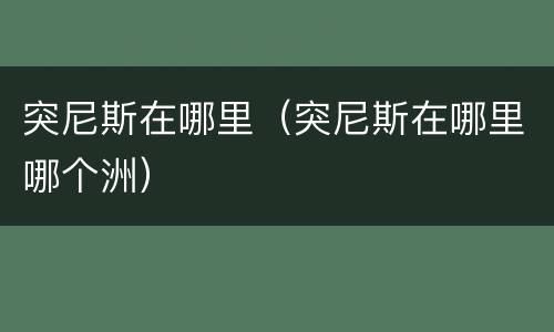 突尼斯在哪里（突尼斯在哪里哪个洲）