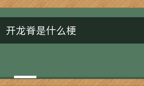 开龙脊是什么梗