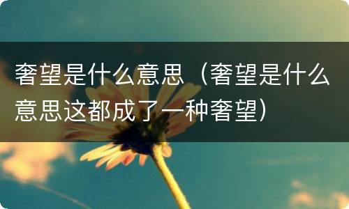 奢望是什么意思（奢望是什么意思这都成了一种奢望）