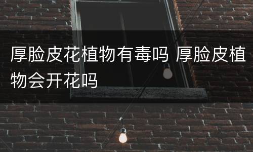 厚脸皮花植物有毒吗 厚脸皮植物会开花吗