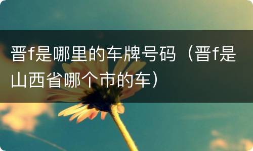 晋f是哪里的车牌号码（晋f是山西省哪个市的车）