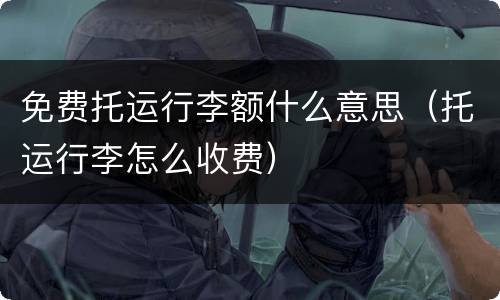 免费托运行李额什么意思（托运行李怎么收费）