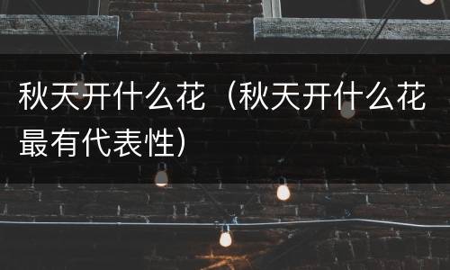 秋天开什么花（秋天开什么花最有代表性）