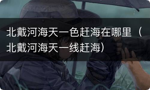北戴河海天一色赶海在哪里（北戴河海天一线赶海）