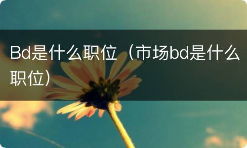 Bd是什么职位（市场bd是什么职位）