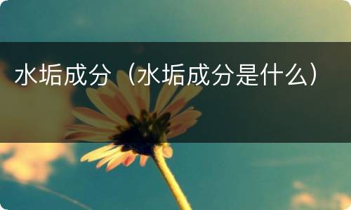 水垢成分（水垢成分是什么）