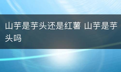 山芋是芋头还是红薯 山芋是芋头吗