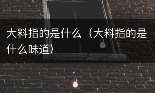大料指的是什么（大料指的是什么味道）