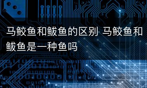 马鲛鱼和鲅鱼的区别 马鲛鱼和鲅鱼是一种鱼吗