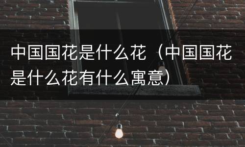中国国花是什么花（中国国花是什么花有什么寓意）