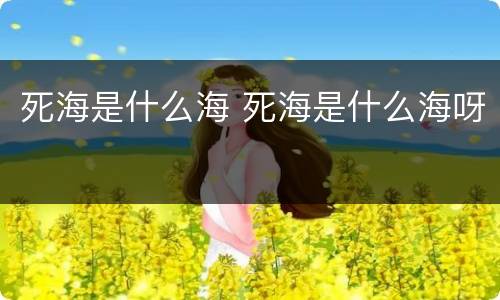 死海是什么海 死海是什么海呀