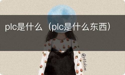 plc是什么（plc是什么东西）