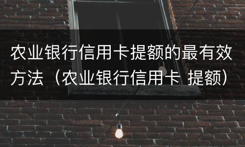 农业银行信用卡提额的最有效方法（农业银行信用卡 提额）