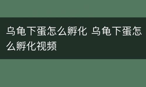 乌龟下蛋怎么孵化 乌龟下蛋怎么孵化视频