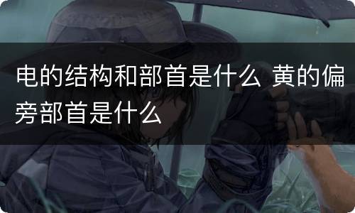 电的结构和部首是什么 黄的偏旁部首是什么