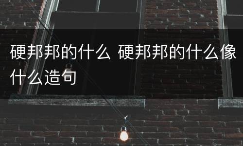 硬邦邦的什么 硬邦邦的什么像什么造句