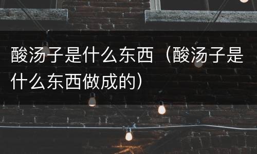 酸汤子是什么东西（酸汤子是什么东西做成的）