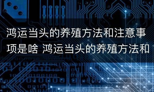 鸿运当头的养殖方法和注意事项是啥 鸿运当头的养殖方法和注意事项养殖日记
