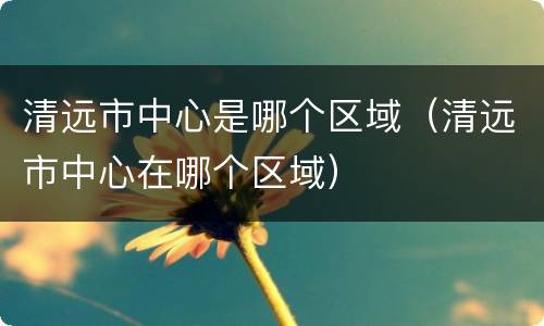清远市中心是哪个区域（清远市中心在哪个区域）